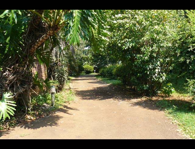 3 BEDROOM HOUSE RENTED IN WINSTON PARK